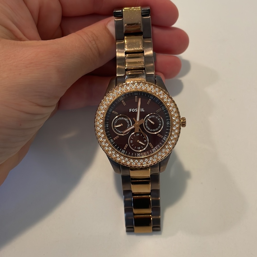 Fossil Watch
